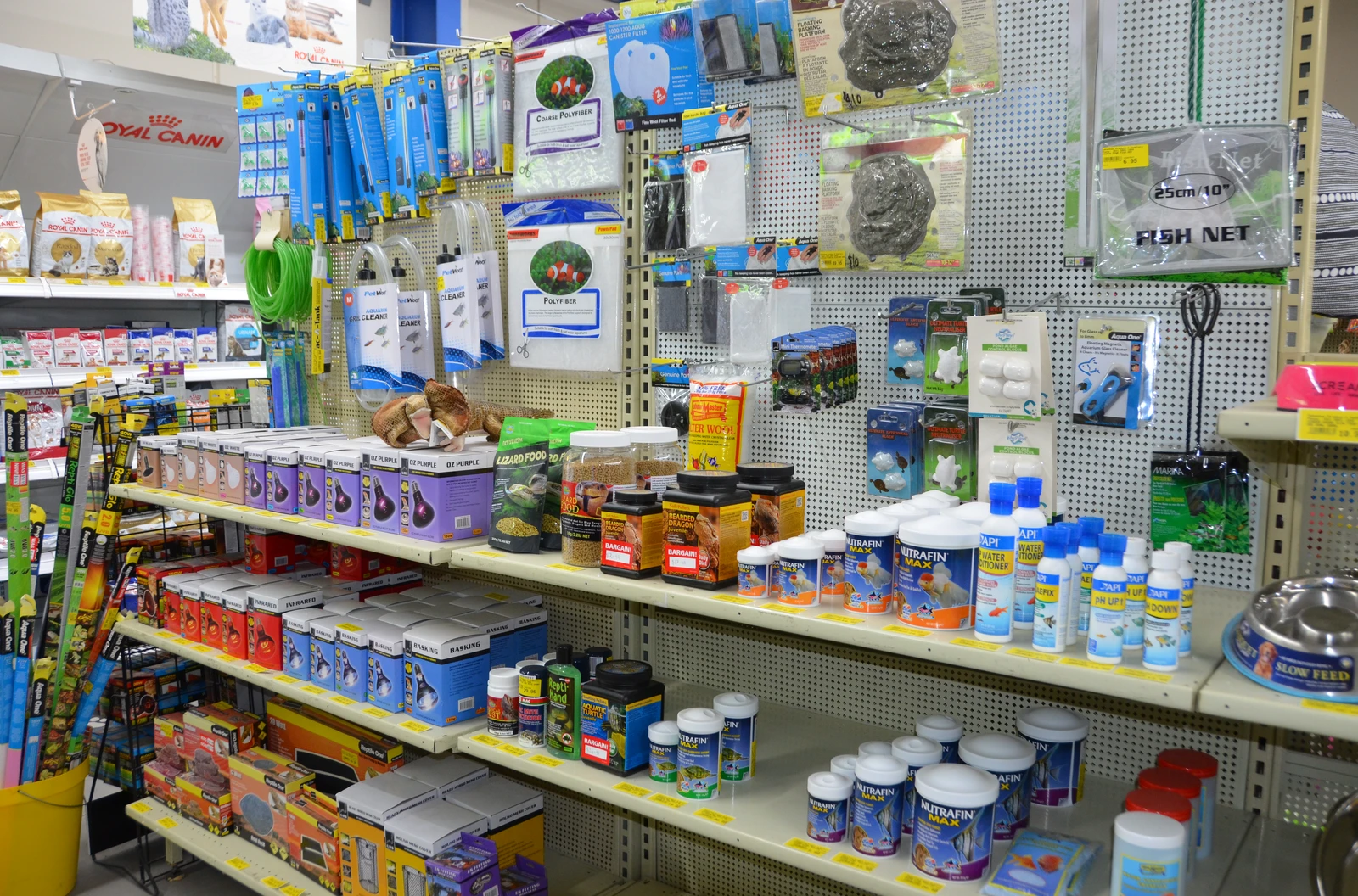 Unusual Pet supplies
