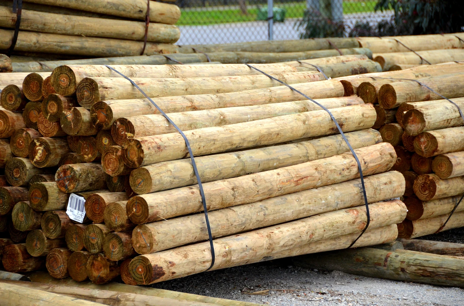 Pine Posts