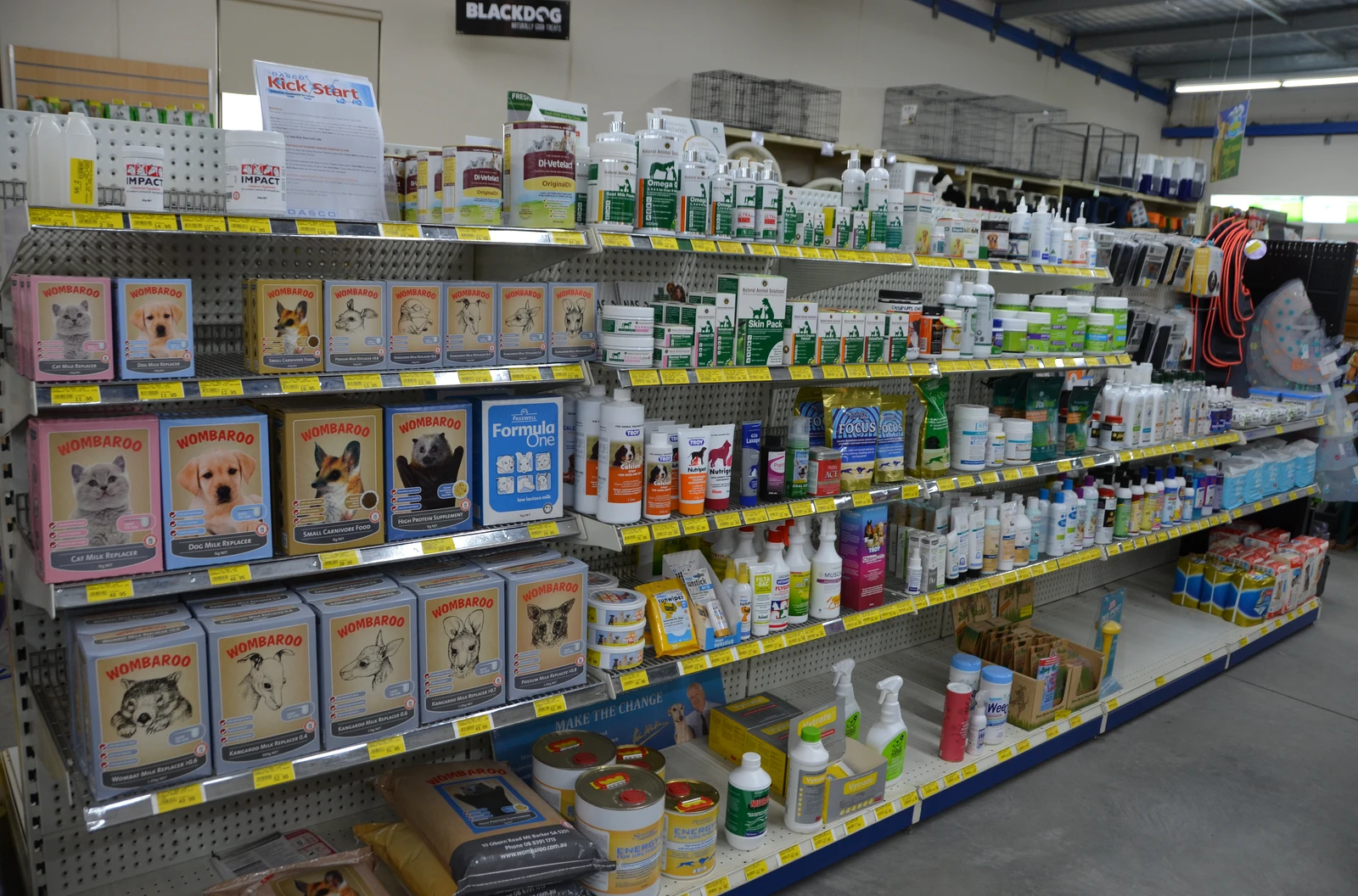 Pet Health