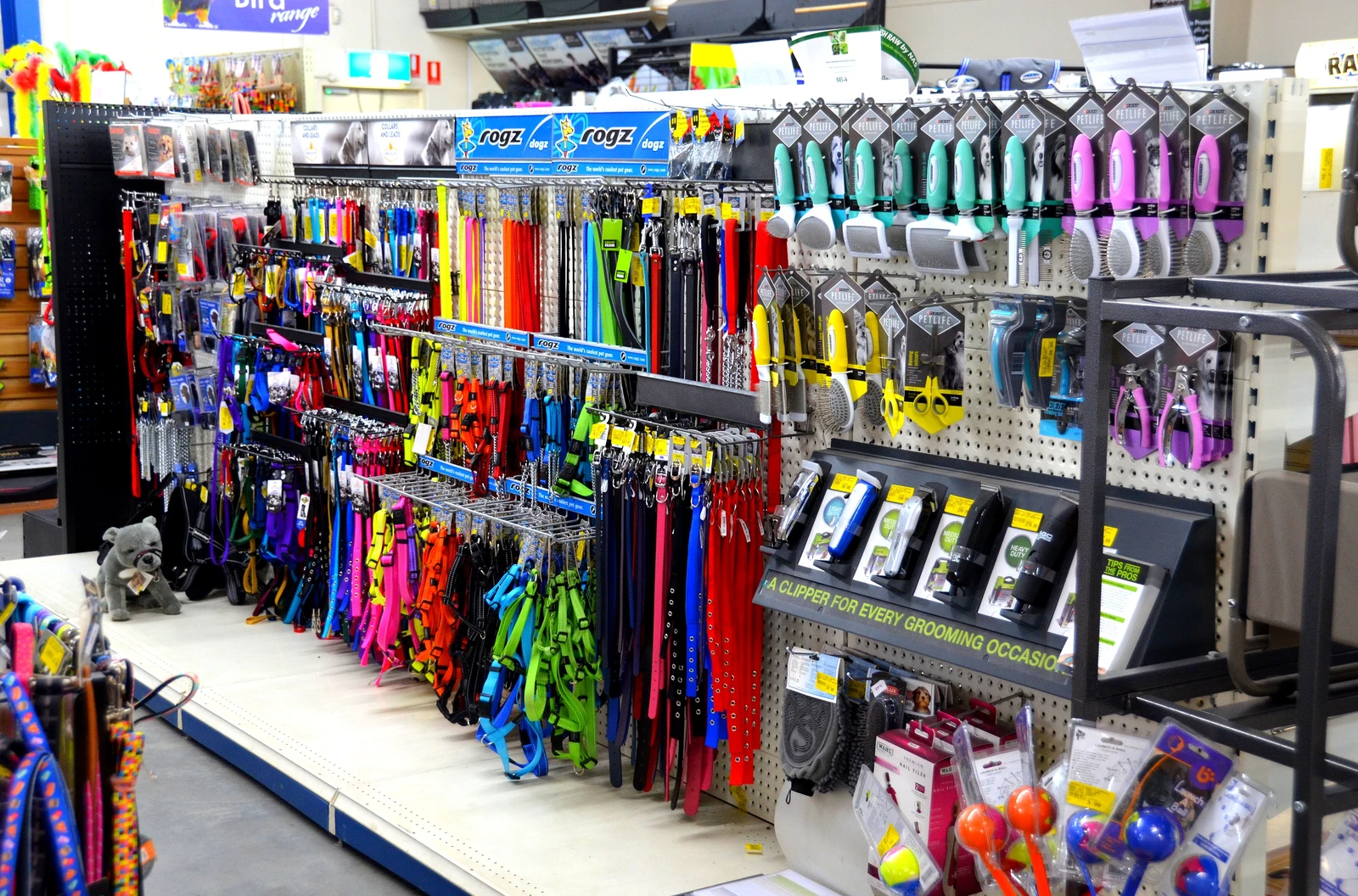 Collars and Leads