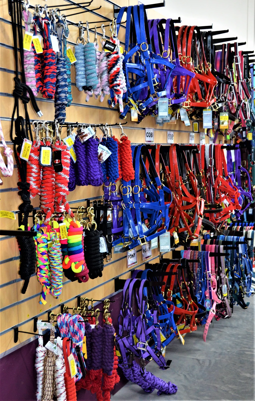 saddlery halters