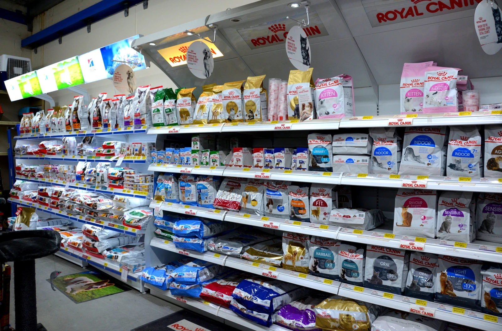 Science Diet and Royal Canin