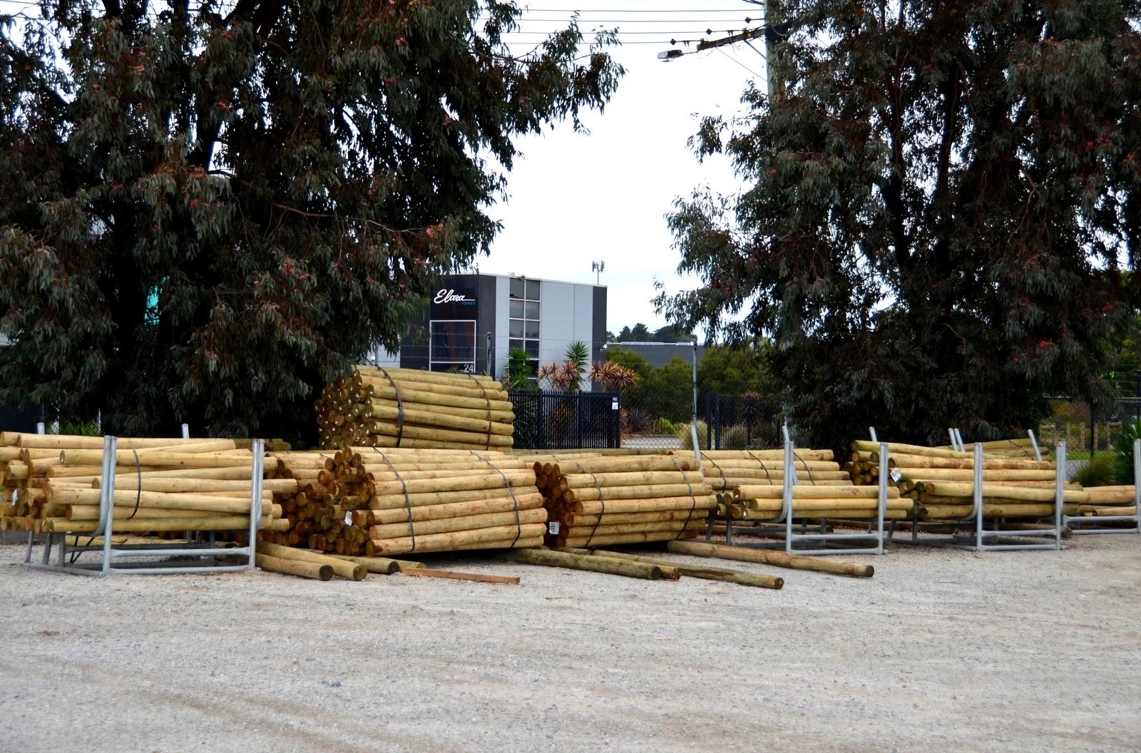 Pine Posts