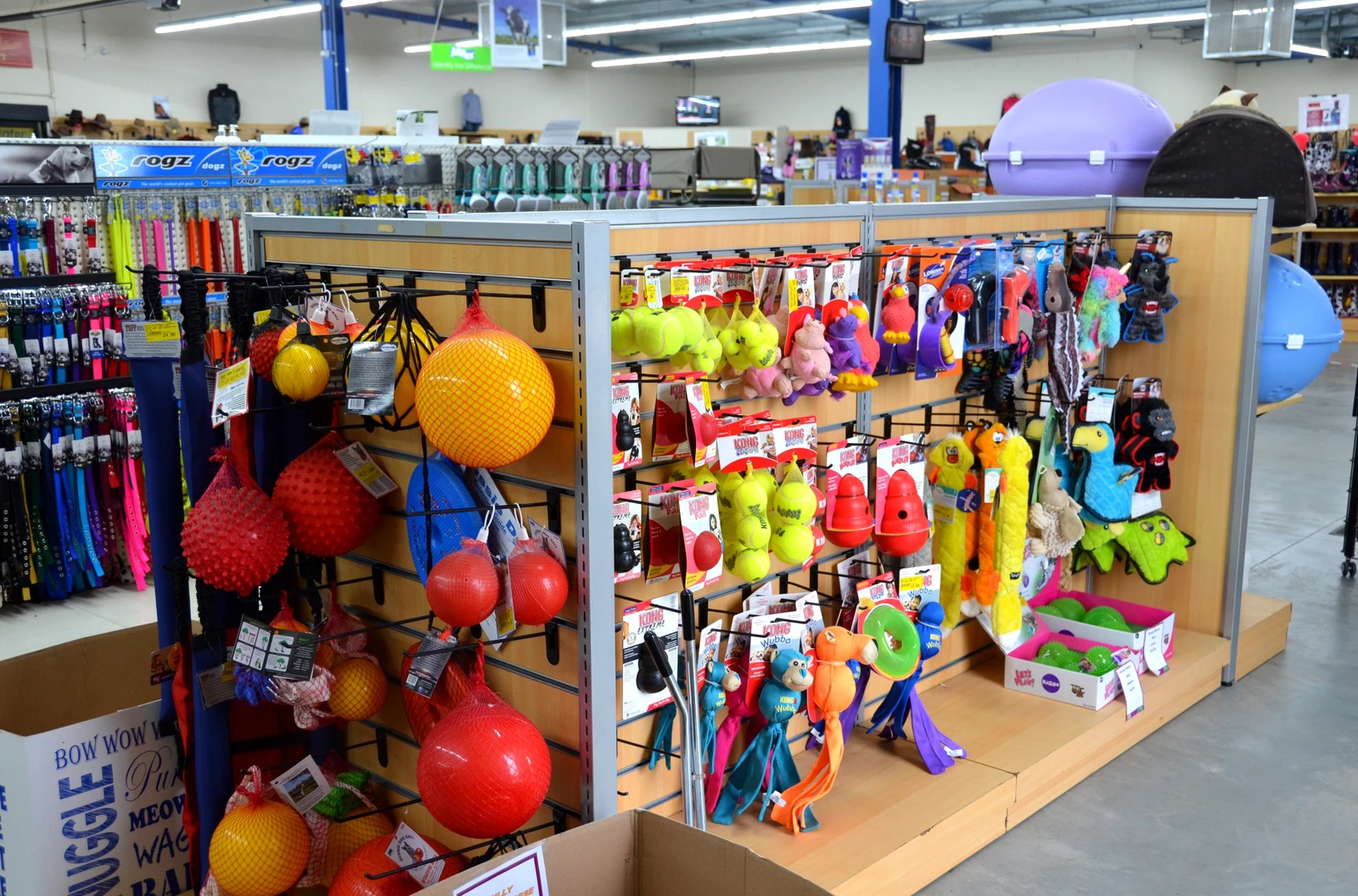 Pet Toys